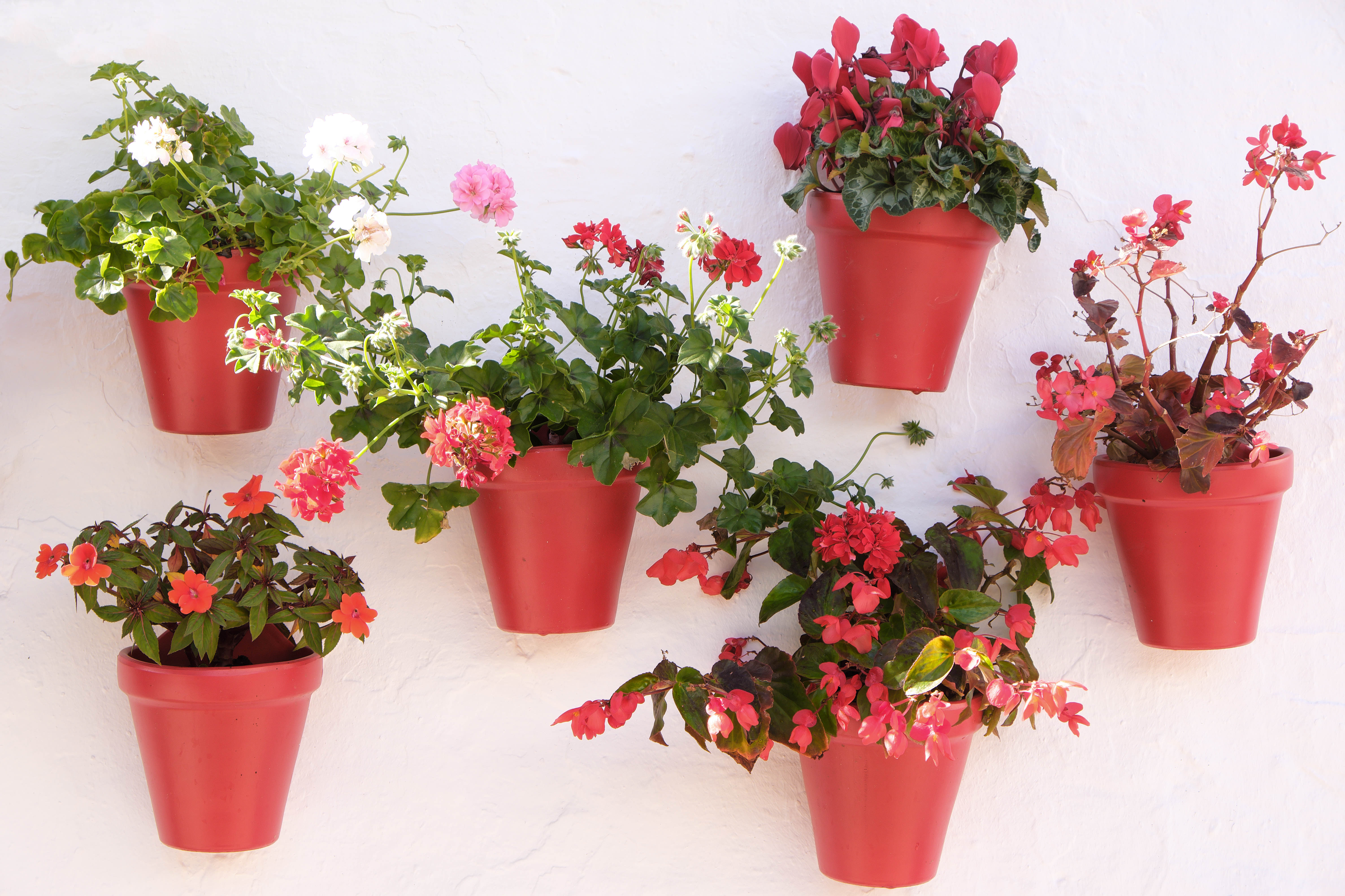 Blooming wall decor