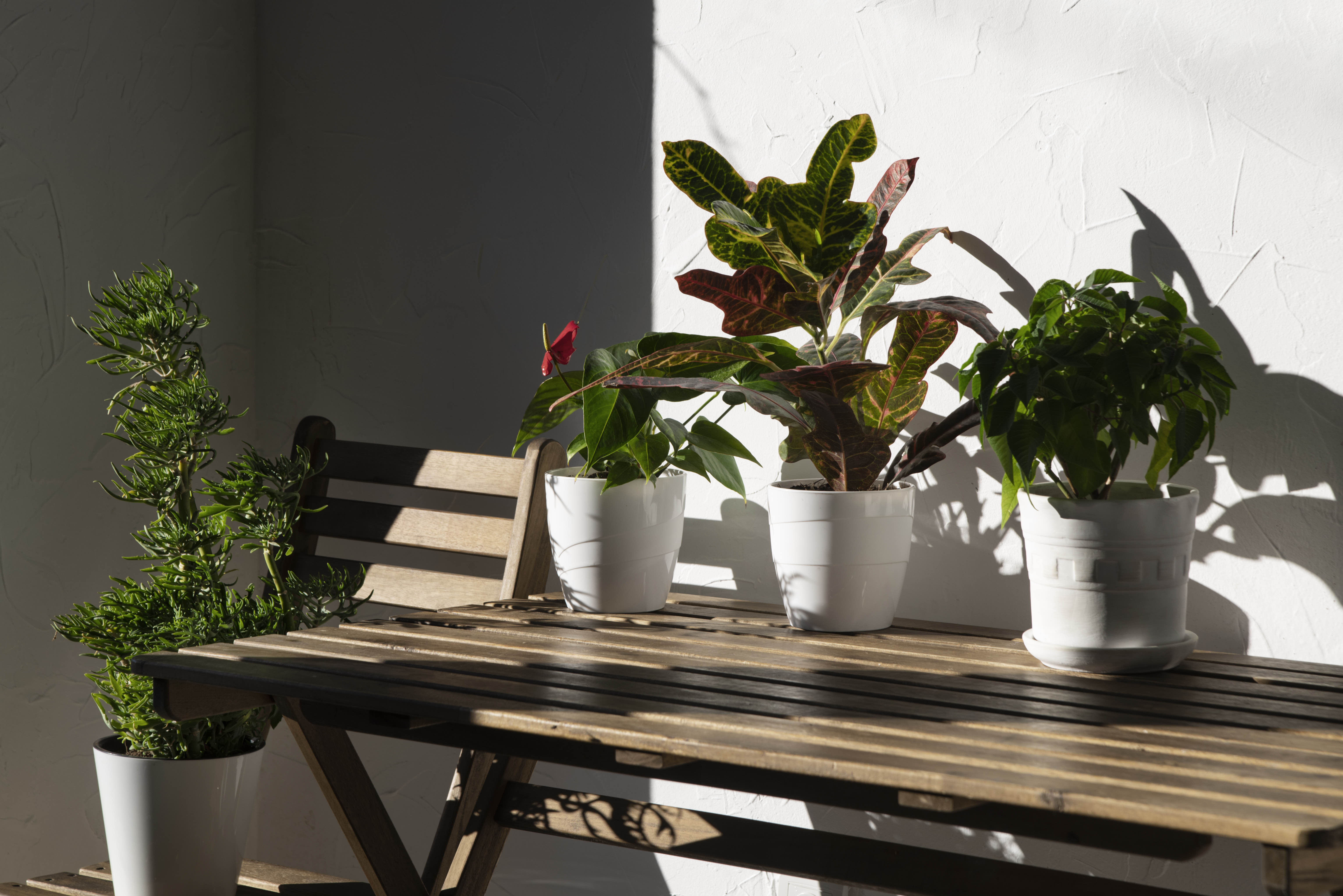 Green Corner with Morning Light