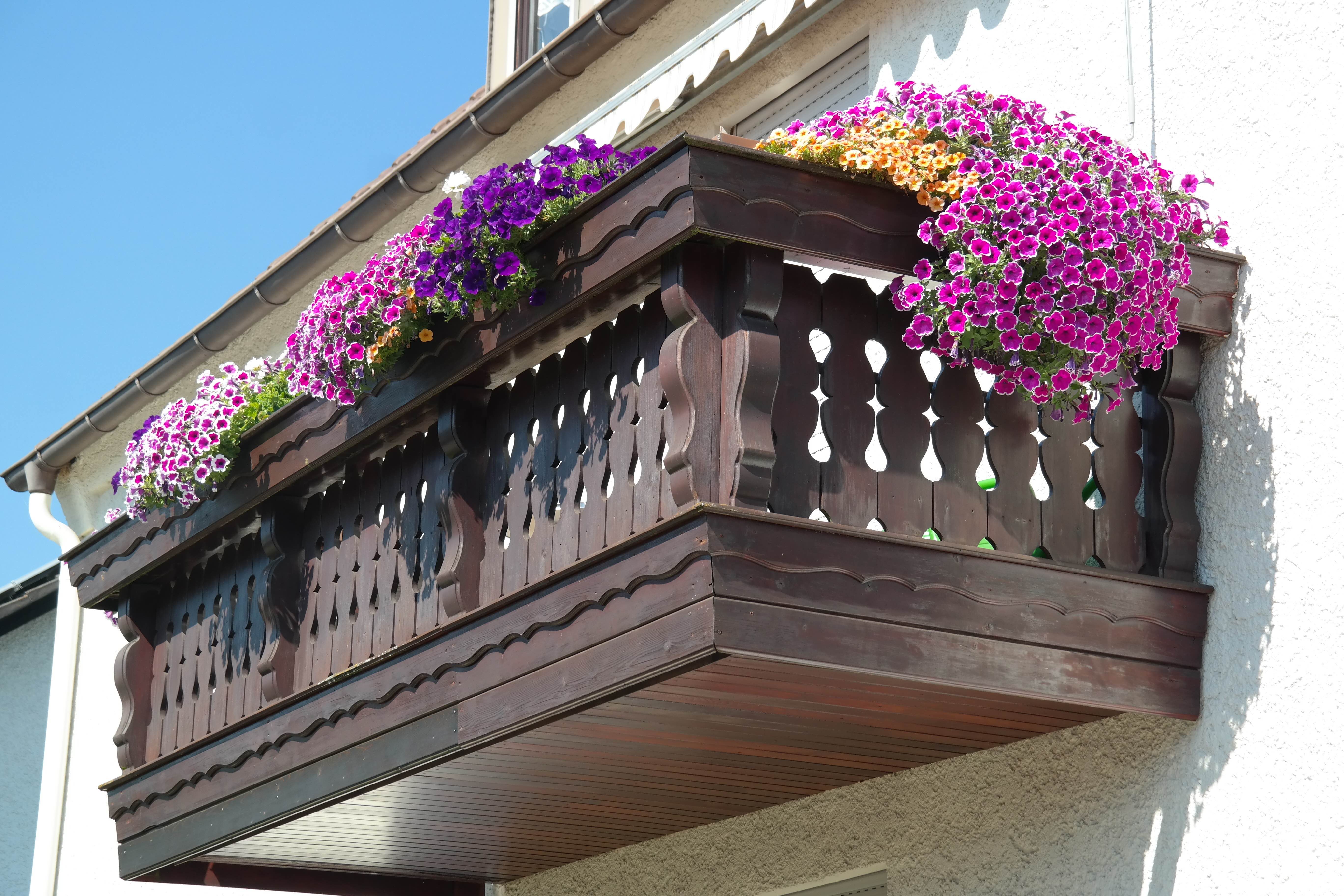 Blooming balcony view