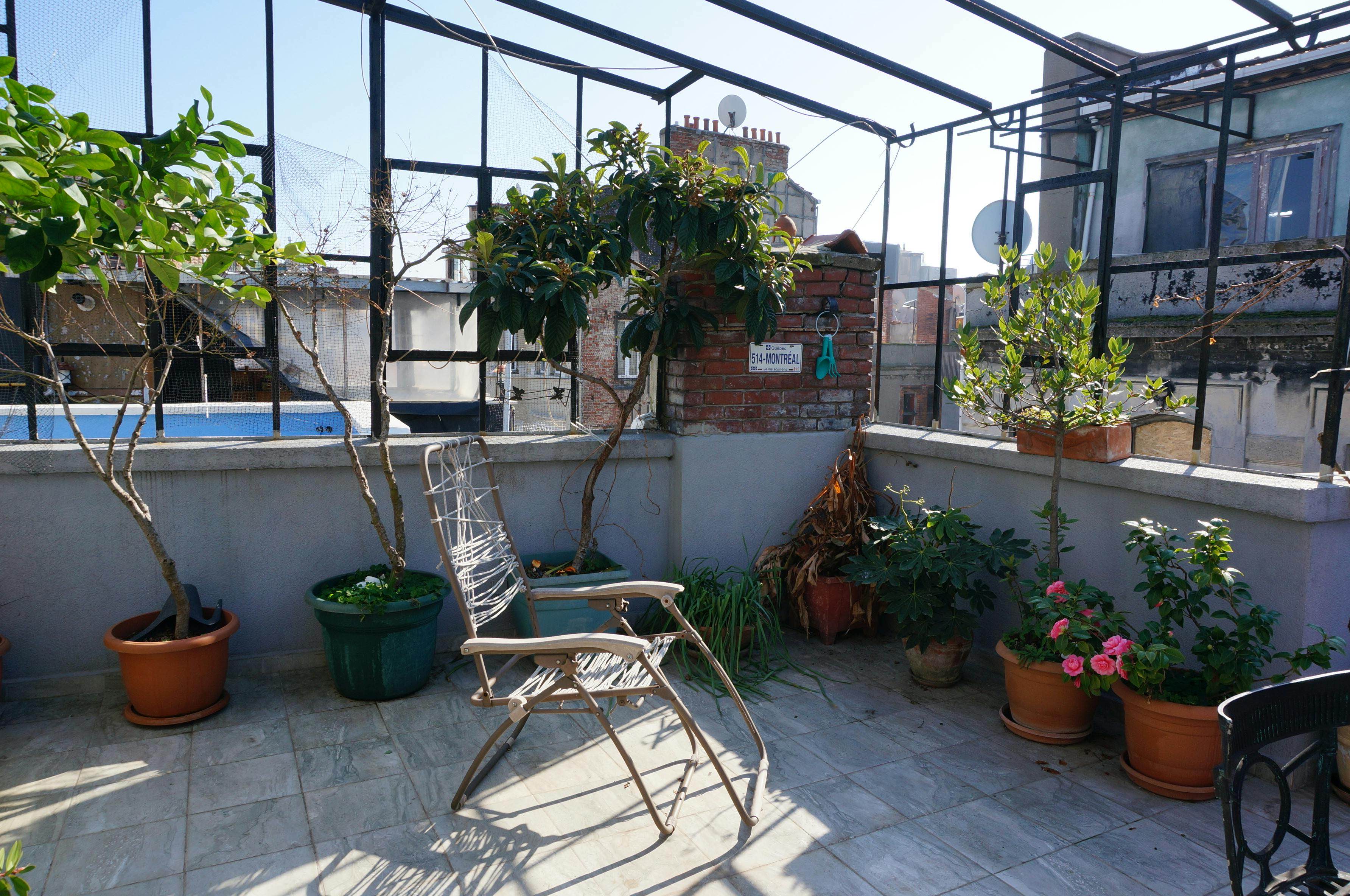 Rooftop bliss