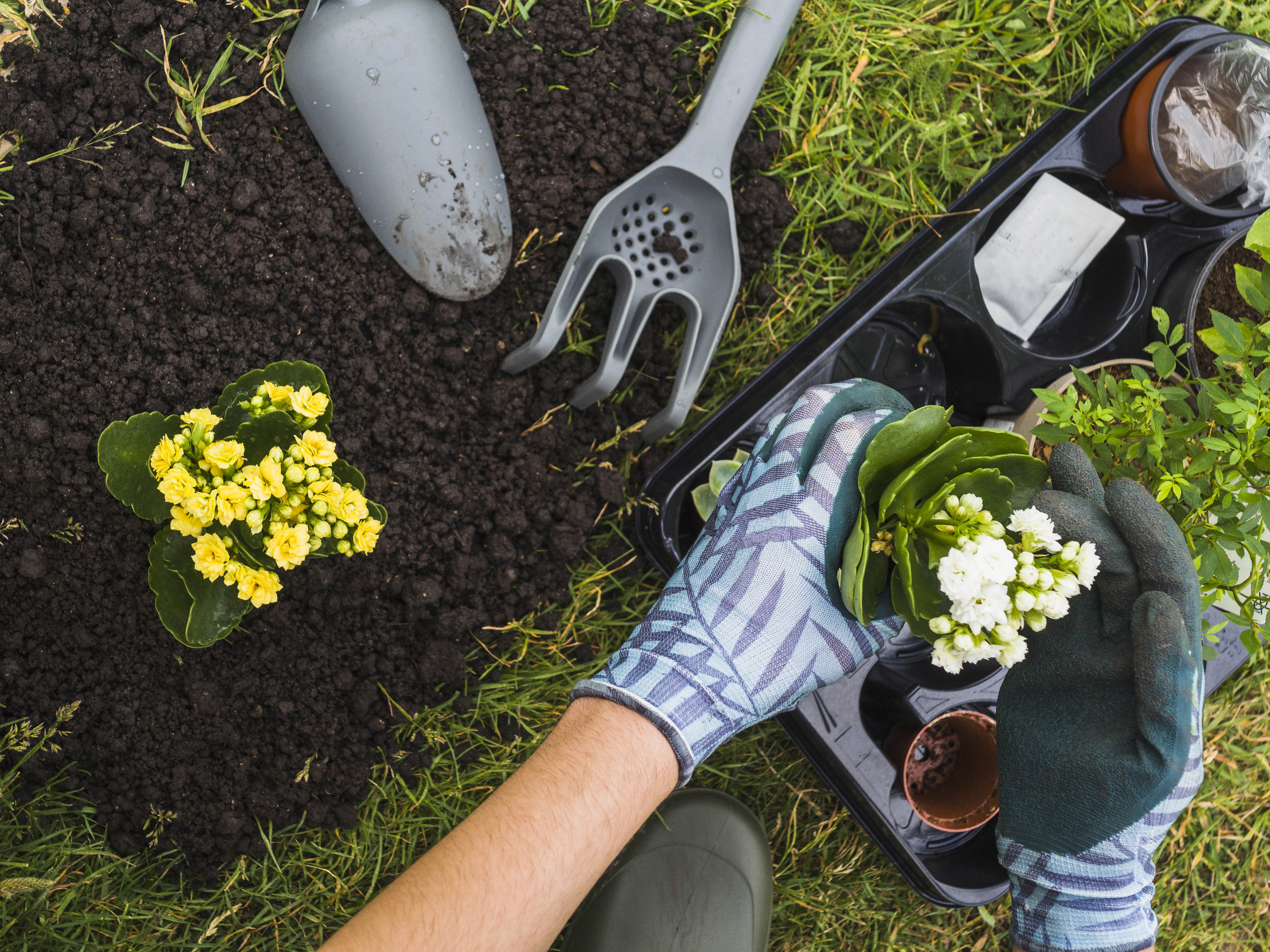 Seasonal planting