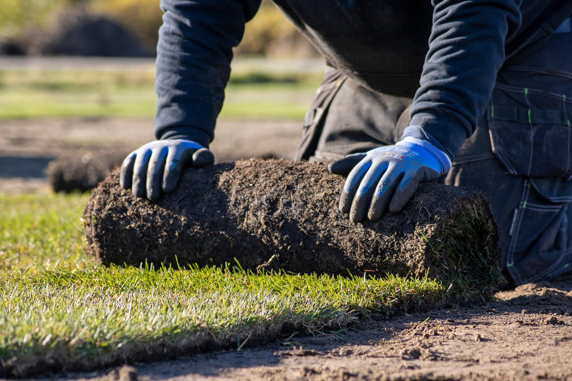 Lawn Installation Process